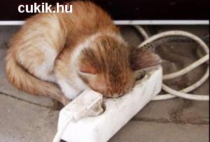 Ki vagyok merülve...