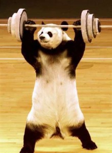 Gyúrós panda