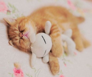 Együtt alszunk :)